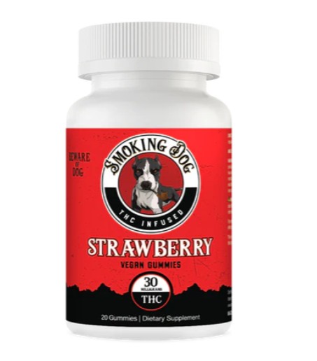 smoking dog mango thc gummies 30mg (copy)