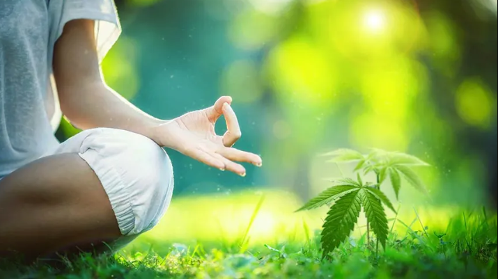 ganja yoga